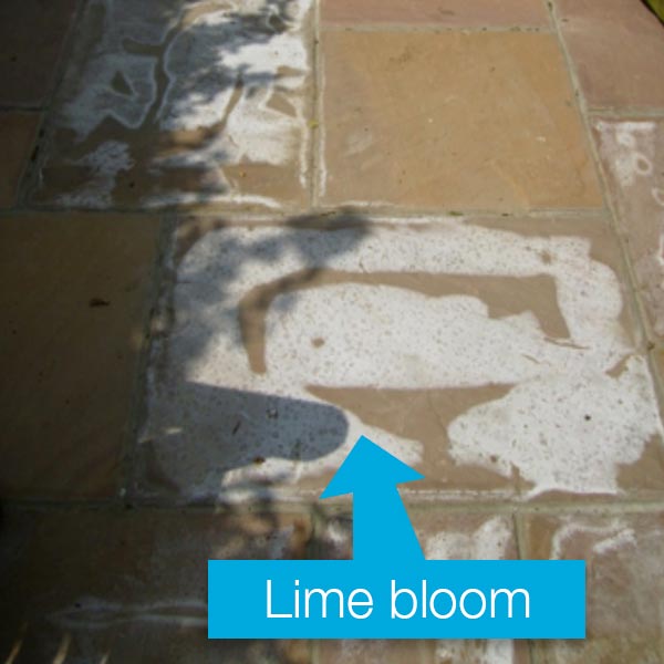 Lime bloom coming through the paving from the cement based mortar bed.