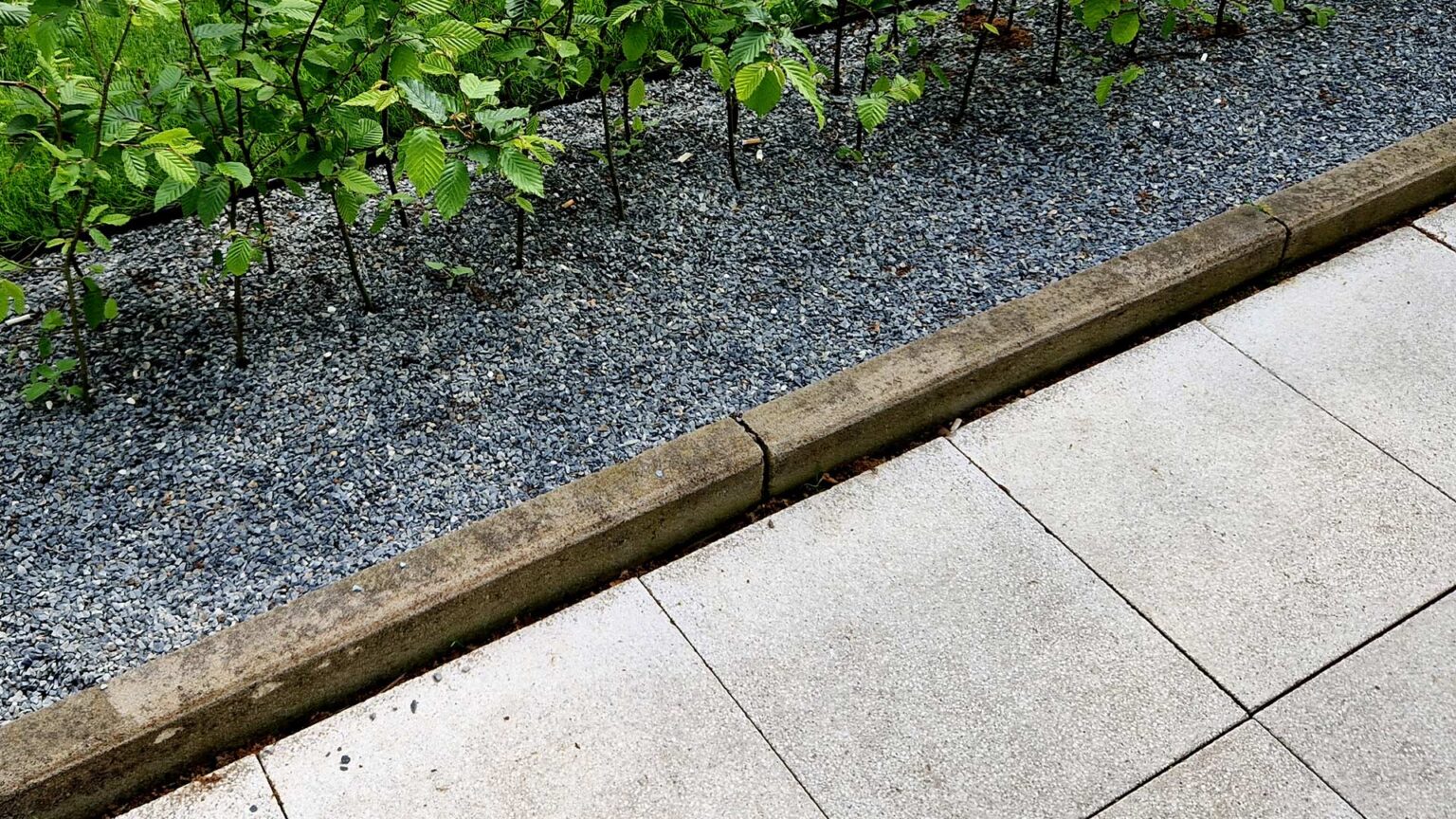 Concrete Edging Stone - Raise Bed