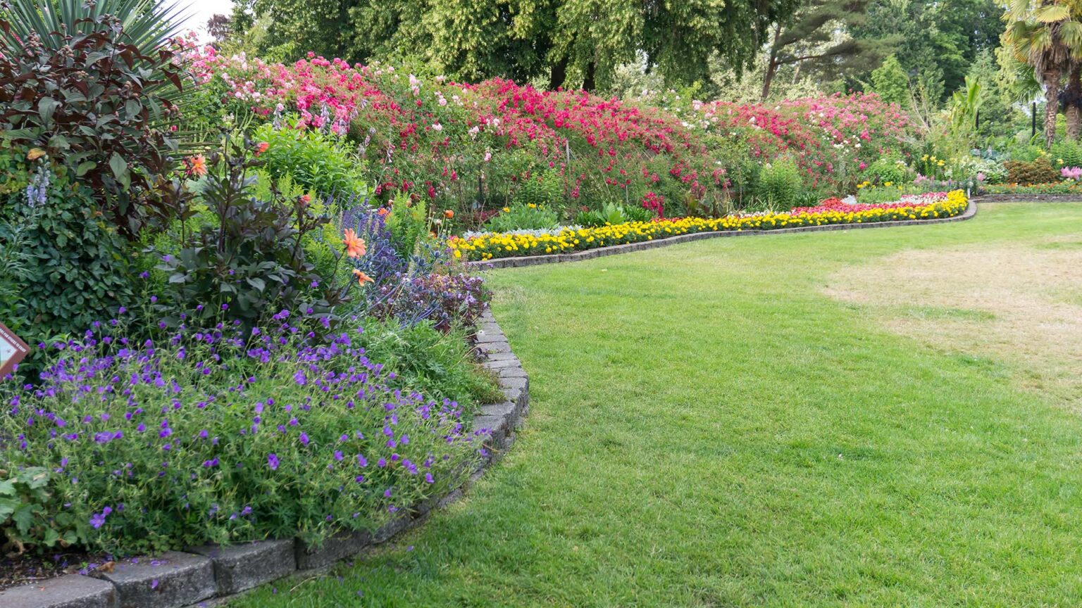 Single course stone edging with low raised bed