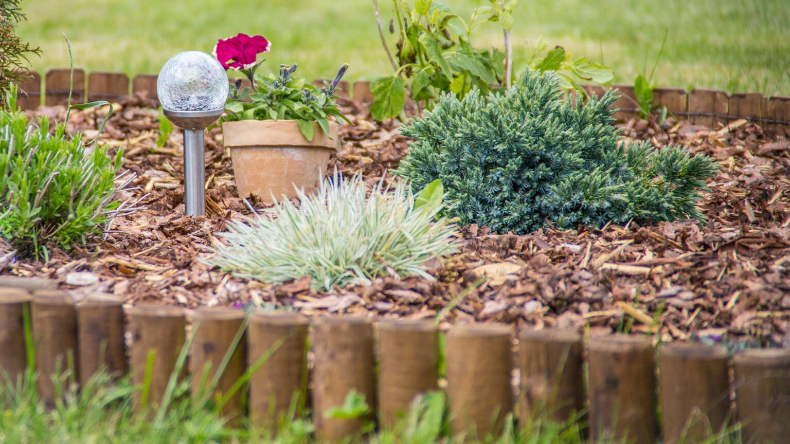 A low ankle wall used to create raised bed. The wall/edging is made from treated timber half-posts.