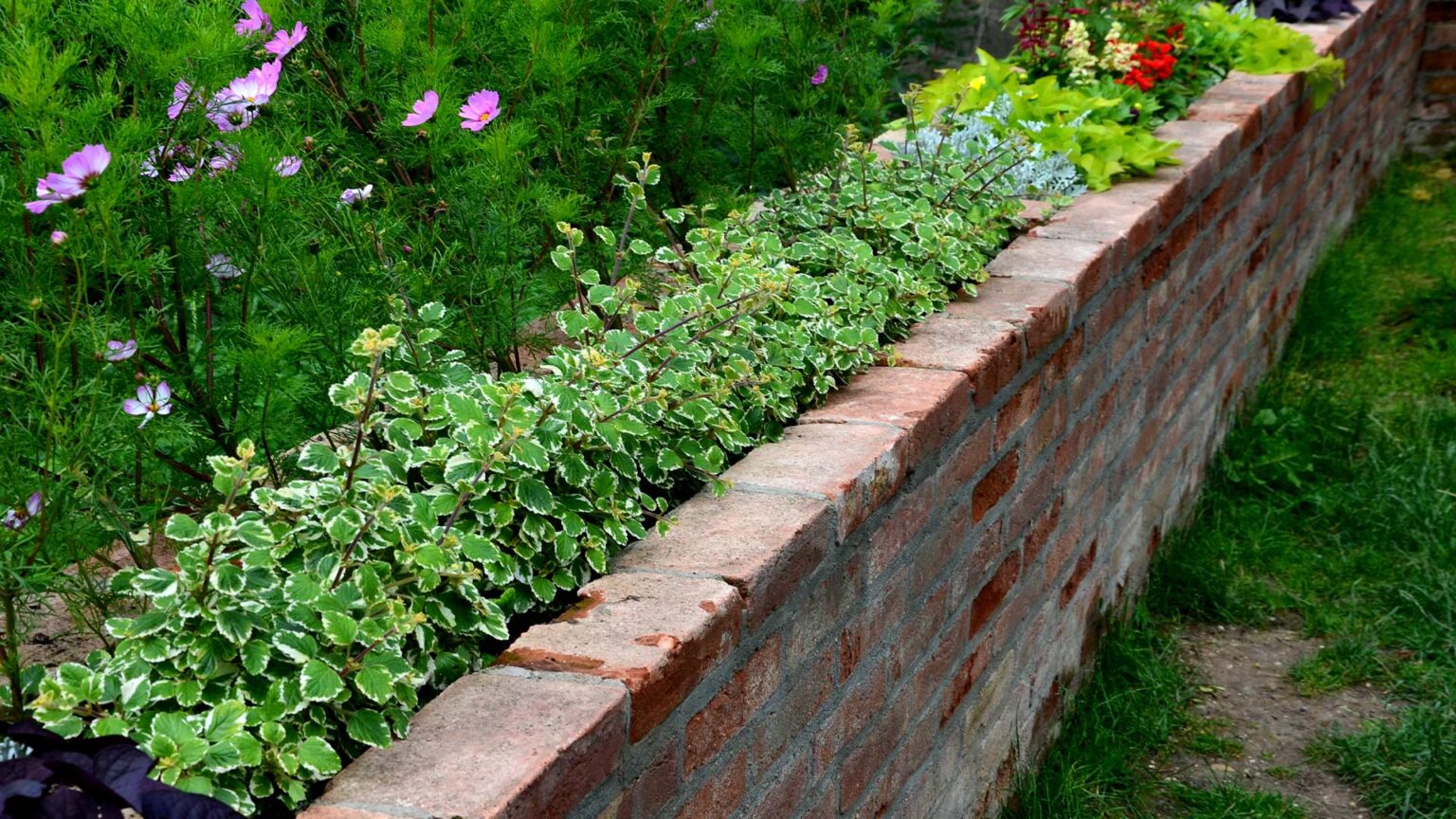 A clay brick raised bed used to segment sections of this garden and create a visual boundary.