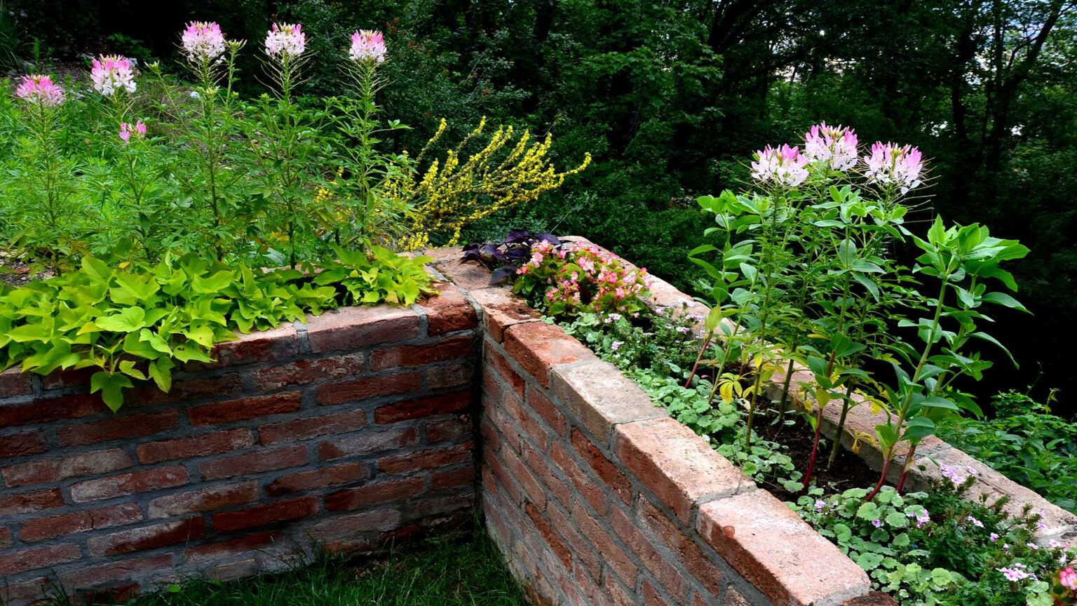 Traditional red brick pavers laid as a wall (raised flower bed) for rustic appeal.