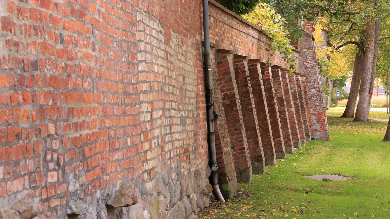 Buttressed and inclined sections of this retaining wall a used where higher garden levels are found on the other side of the Abbey's walls.