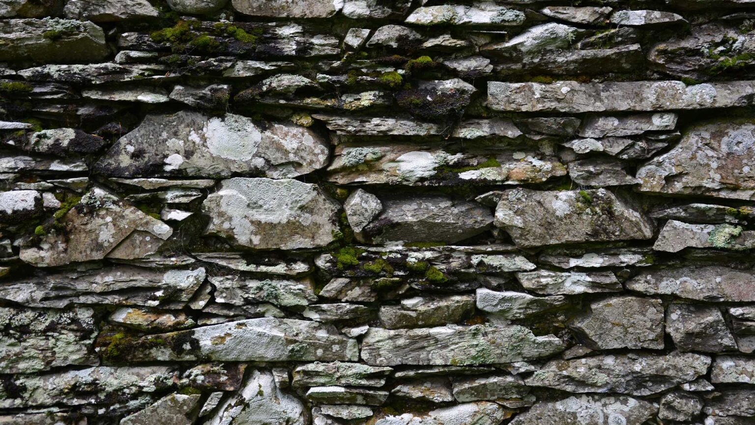 A beautiful rustic dry stone wall of Welsh slate with lichen and moss.