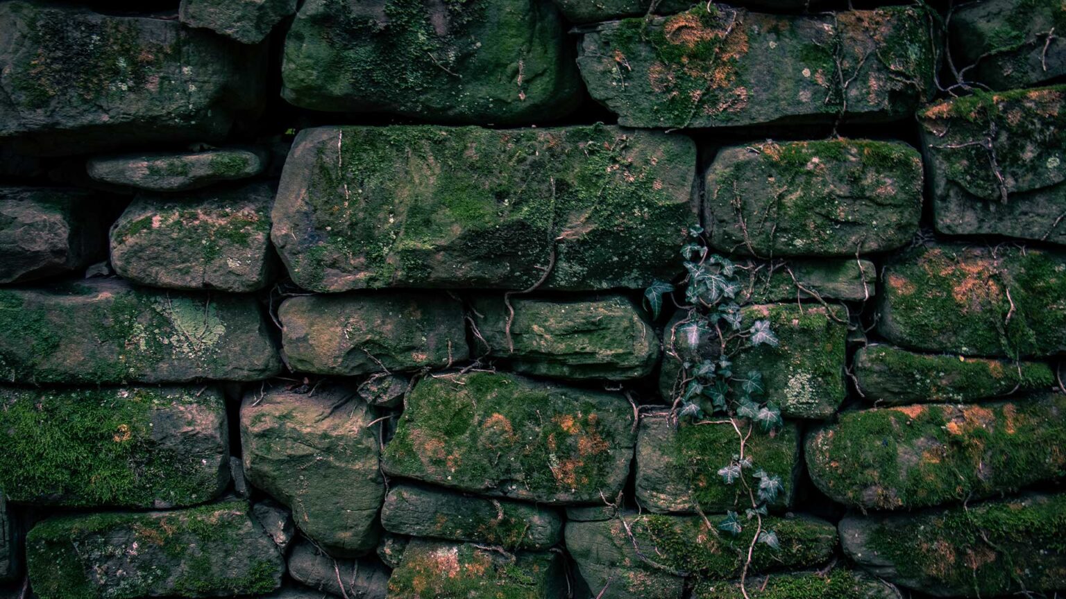 A reddish sandstone wall (rich in iron) covered in the grime, moss, algae and ivy, for a brooding, dark and gothic look.