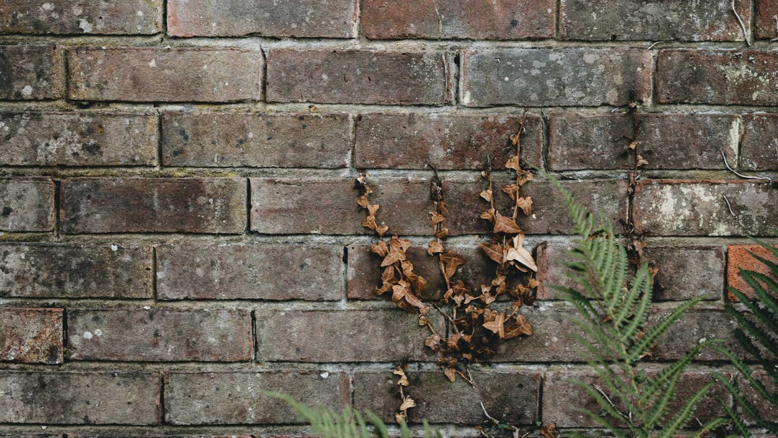 A brown/grey/red bricks feel slightly bleak and austere like they should be in the courtyard of a Dickensian workhouse.