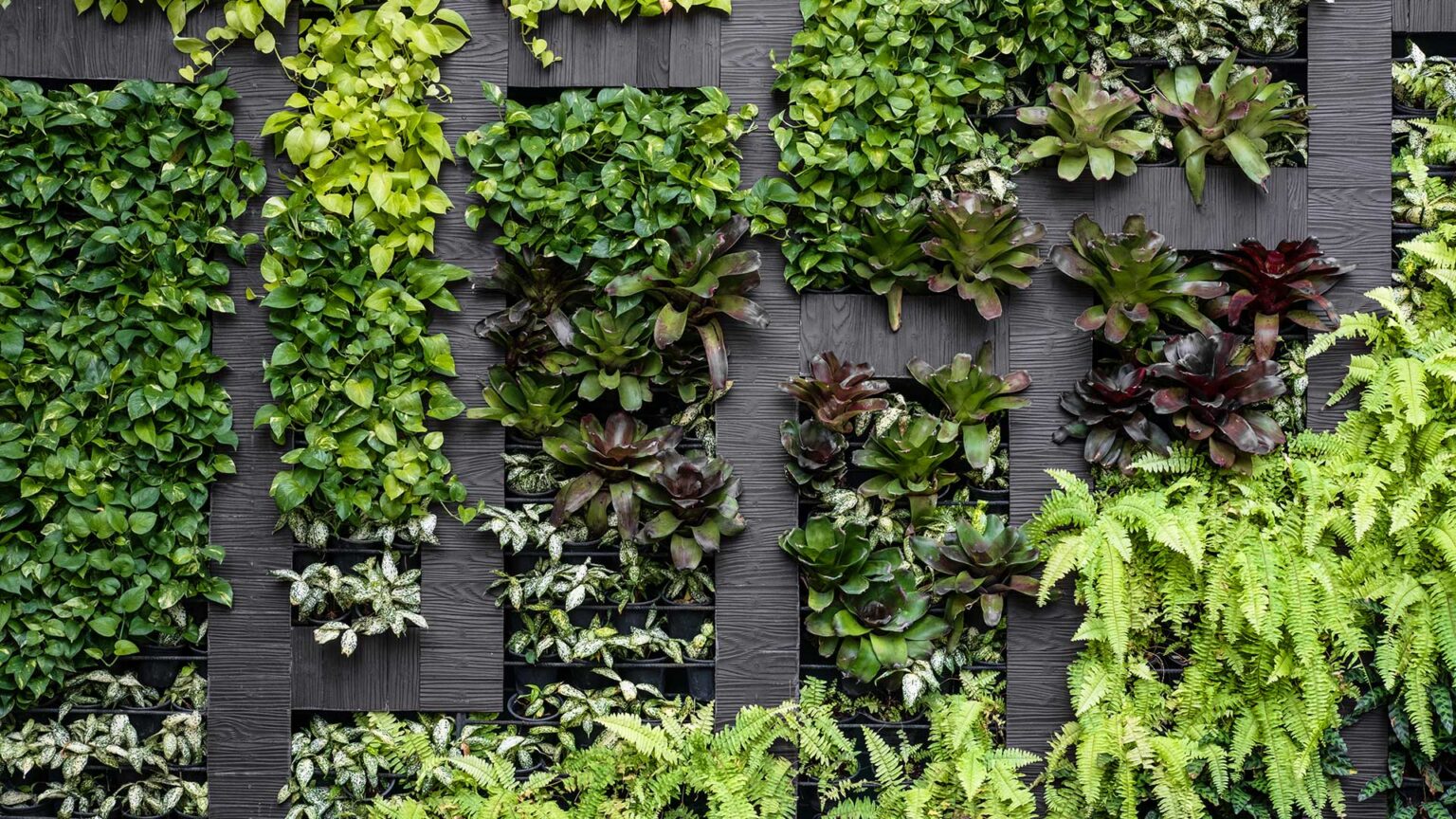 This living wall design uses wood cladding and a steel hooped framework to suspend individual plant pots.