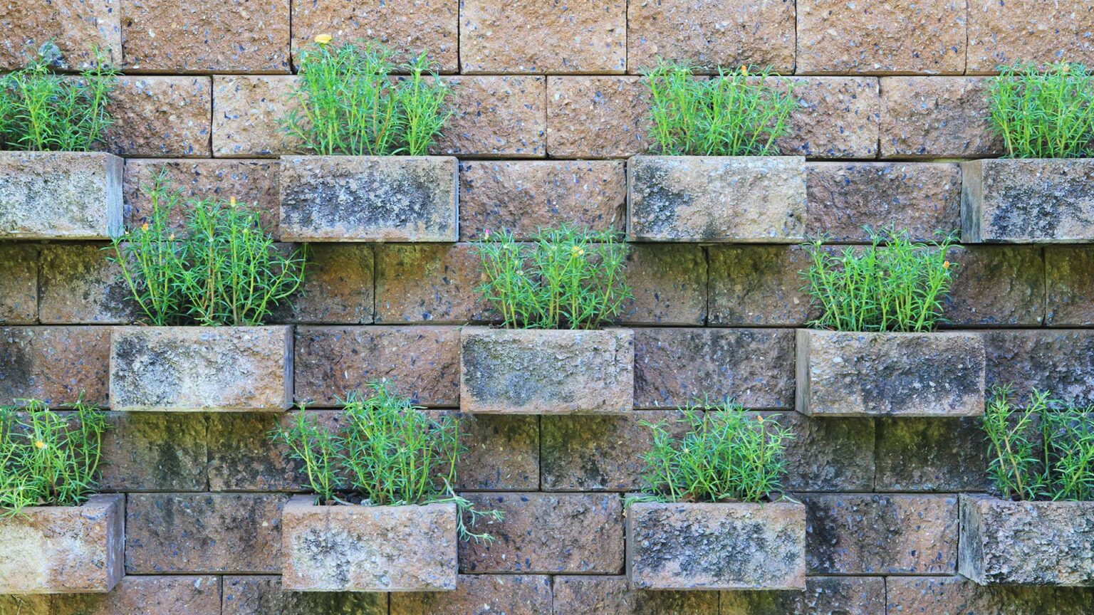 Green wall made using masonry planters in a matching style to the wall's reconstituted stone blocks.