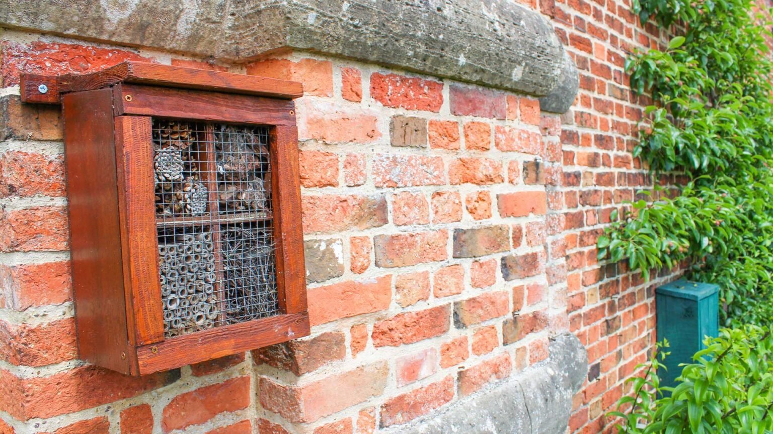 Georgian orange bricks with lime mortar and bullnose concrete string courses.