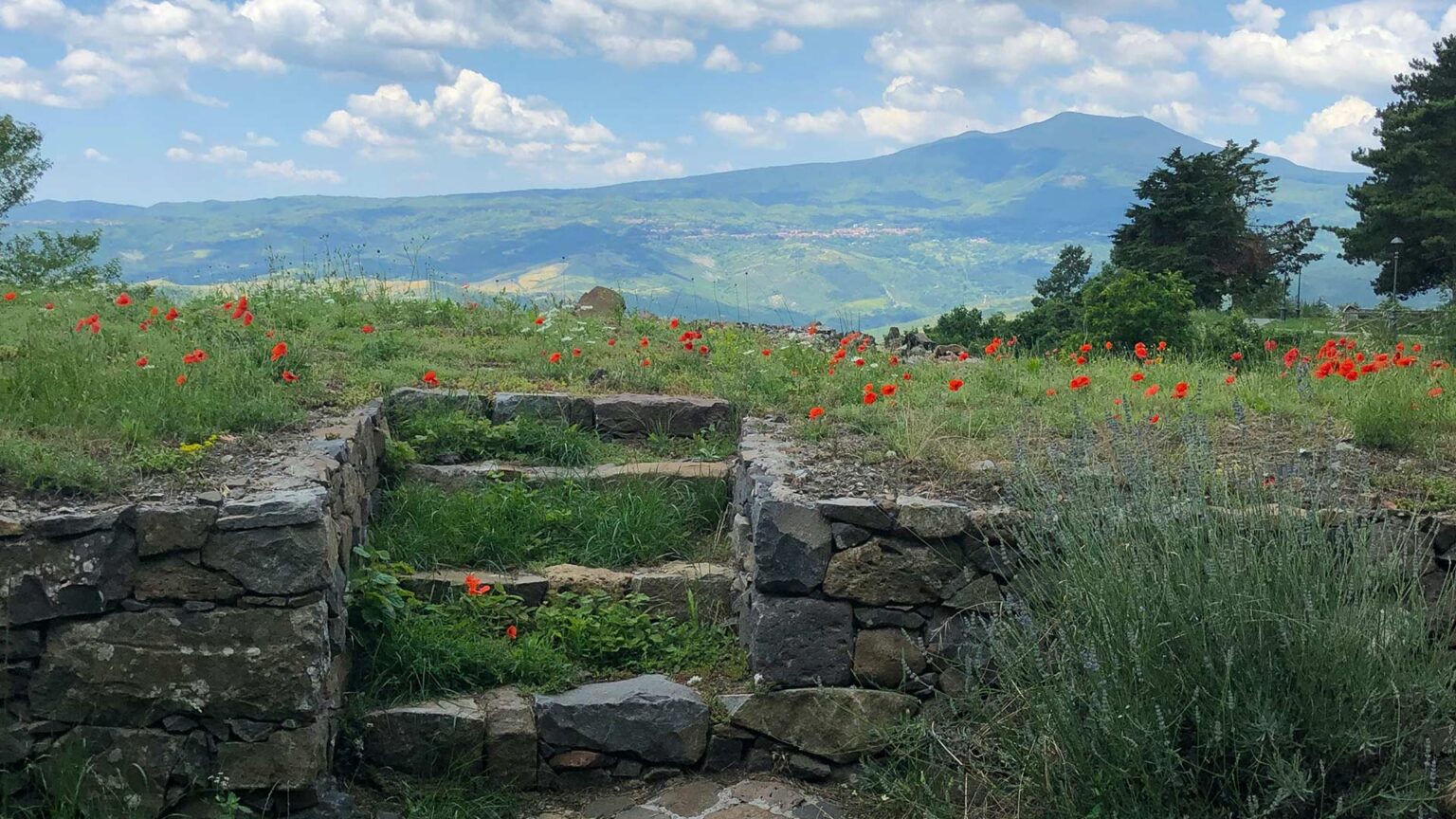 Rustic limestone steps of hewn stone blocks using the same material as the dry stone wall on either side.