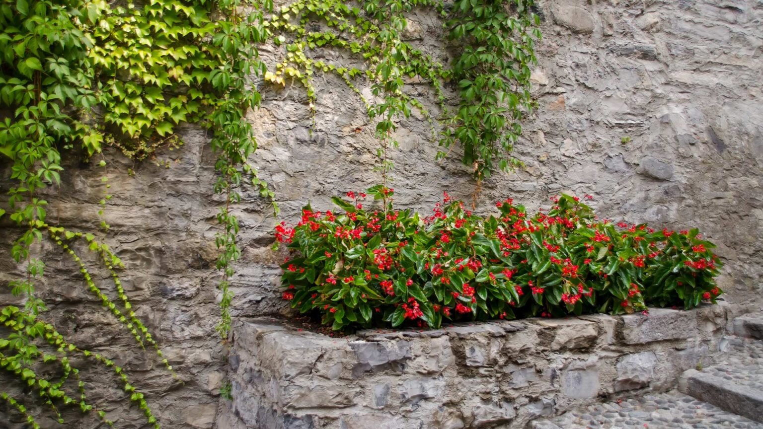 A small raised bed built against the side of a rustic building. The wall is constructed of bound hewn quartzite blocks.