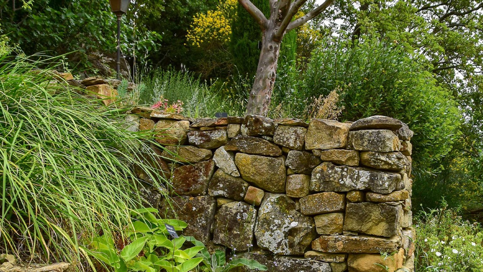 A rustic drystone sandstone dwarf wall full of character and charm