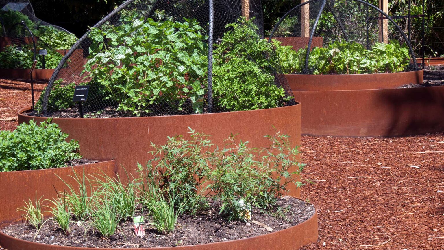 Rust covered steel walled raised bed